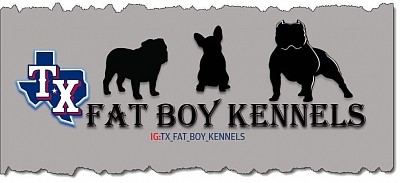 Http://www.fatboykennels.com